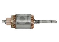 ARMADURA SISTEMA LUCAS M127 SEREIES DD / PERKINS (