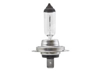 FOCO HALOGENO H7 12V 100W PX26d IMPORTACION