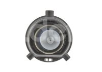 FOCO HALOGENO H4P43T 24V 75W E1 XENON BLUE PHOENIX PHOENIX