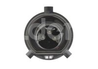 FOCO HALOGENO H4P43T 24V 75W E1 XENON BLUE PHOENIX PHOENIX