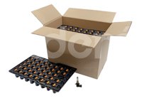 FOCO PHILIPS H10 9145 12V 45W PY20D (GRANEL) PHILIPS: 9145IP PHILIPS