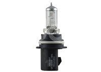 FOCO HALOGENO 9007 12V 65/55W 50%+LUZ PX29T 179712