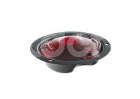 PLAFON DE DIRECCIONALES PETERSON