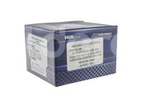 REGULADOR VALEO NISSAN (2004-2009) VALEO 2650030, 2650030C LESTER 11017, 11018 M534 TRANSPO