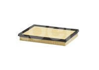 FILTRO AIRE TOYOTA CAMRY L4 2.5L 2013; CAMRY V6 3.5L 2013; RAV4 L4 2.5L 2013-2018 TA25786, PUROLATOR TECH PUROLATOR