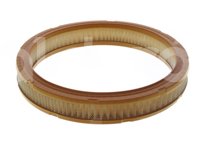 FILTRO DE AIRE FORD COUGAR, MUSTANG, THUNDERBIRD 77-82 CA3424 FRAM