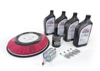 PAQUETE DE AFINACION VALUE ADVANTAGE NISSAN FRONTIER L4 2.4L 2008-2016, BUJIAS: 4, ACEITE MINERAL 20W40: 4LT, ARANDELA: 1, FILTRO DE AIRE: 1, FILTRO DE ACEITE: 1, FILTRO DE GASOLINA: 1, VALUE ADVANTAGE: AFID2219K2VA VALUE ADVANTAGE
