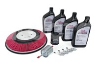 PAQUETE DE AFINACION VALUE ADVANTAGE NISSAN FRONTIER L4 2.4L 2008-2016, BUJIAS: 4, ACEITE MINERAL 15W40: 4LT, ARANDELA: 1, FILTRO DE AIRE: 1, FILTRO DE ACEITE: 1, FILTRO DE GASOLINA: 1, VALUE ADVANTAGE: AFID2219K1VB VALUE ADVANTAGE