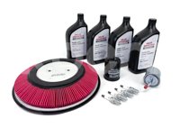 PAQUETE DE AFINACION VALUE ADVANTAGE NISSAN FRONTIER L4 2.4L 2008-2016, BUJIAS: 4, ACEITE MINERAL 20W40: 4LT, ARANDELA: 1, FILTRO DE AIRE: 1, FILTRO DE ACEITE: 1, FILTRO DE GASOLINA: 1, VALUE ADVANTAGE: AFID2219K2VB VALUE ADVANTAGE