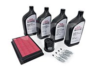 PAQUETE DE AFINACION VALUE ADVANTAGE NISSAN TIIDA L4 1.6L 2007-2013, TIIDA L4 1.8L 2007-2013, BUJIAS: 4, ACEITE MINERAL 10W30: 4LT, ARANDELA: 1, FILTRO DE AIRE: 1, FILTRO ACEITE: 1, VALUE ADVANTAGE: AFIC1119K1VB VALUE ADVANTAGE