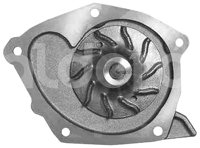 BOMBA AGUA RENAULT MEGANE, SCENIC 2.0L, TRAFIC 1.9L 04-09 P255 BRUMMER