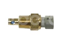 SENSOR IAT (SENSOR DE TEMPERATURA DE CARGA DE AIRE IAT) CHEVROLET  25036708  5039 MTE-THOMSON