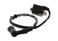 BOBINA ITALIKA DM150 2010-2019 IMPORTACION