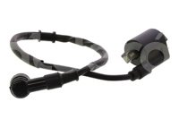 BOBINA ITALIKA DM150 2010-2019 IMPORTACION