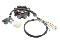 ESTATOR ITALIKA DM150CC, DM200CC 2007-2016 8010046 FOCO MOTOCICLETAS IMPORTACION