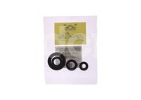 JUEGO RETENES MOTOR ITALIKA FT125/FT150 4969 QUMO