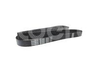 BANDA POLY-V 4080984 No. GATES: K080981 GOODYEAR