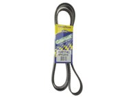 BANDA POLY-V 4081145 No. GATES: K081145