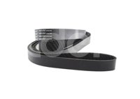 BANDA POLY-V 4081252 No. GATES: K081251 GOODYEAR