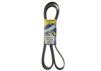 BANDA POLY-V 4081325 No. GATES: K081325