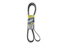 BANDA POLY-V 4081377 No. GATES: K081377 GOODYEAR