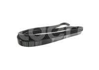 BANDA POLY-V 4081377 No. GATES: K081377 GOODYEAR