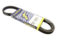 BANDA POLY-V 519DK6 No. GATES: DK060519