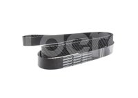 BANDA POLY-V FREIGHTLINER, KENWORTH 4080680 No. GATES: 8PK1725 GOODYEAR