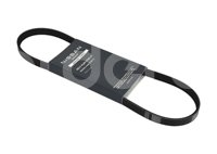 BANDA DIRECCION HIDRAULICA OEM NISSAN TSURU L4 1.6L 1991 NISSAN: 11950F4200 NISSAN