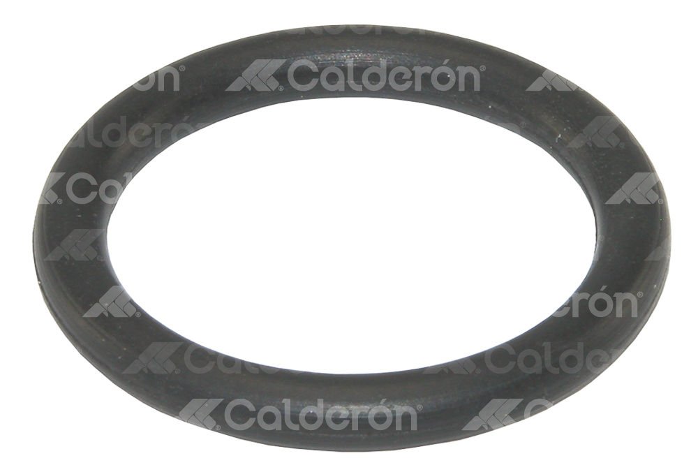 O-RING BORNE DC 300/270A    1941043 KOR
