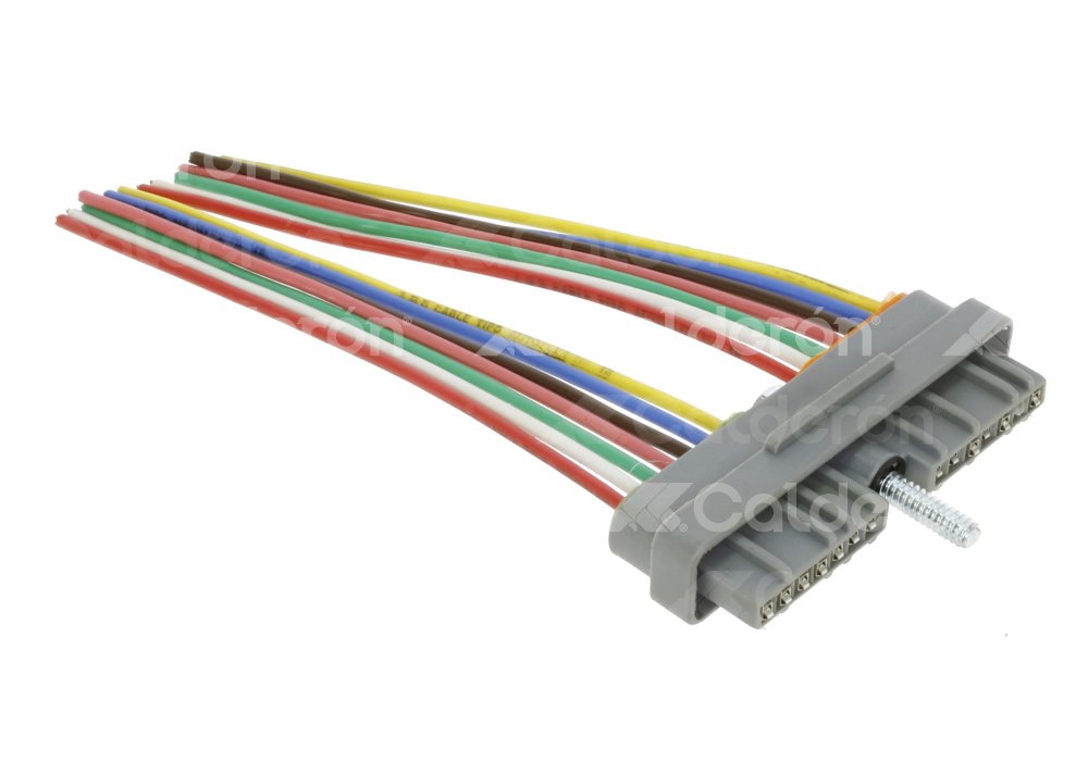 ARNES COMPUTADORA CHEVROLET (LX349 / LX364) 14 TERMINALES . AMD: AMD273 AMD