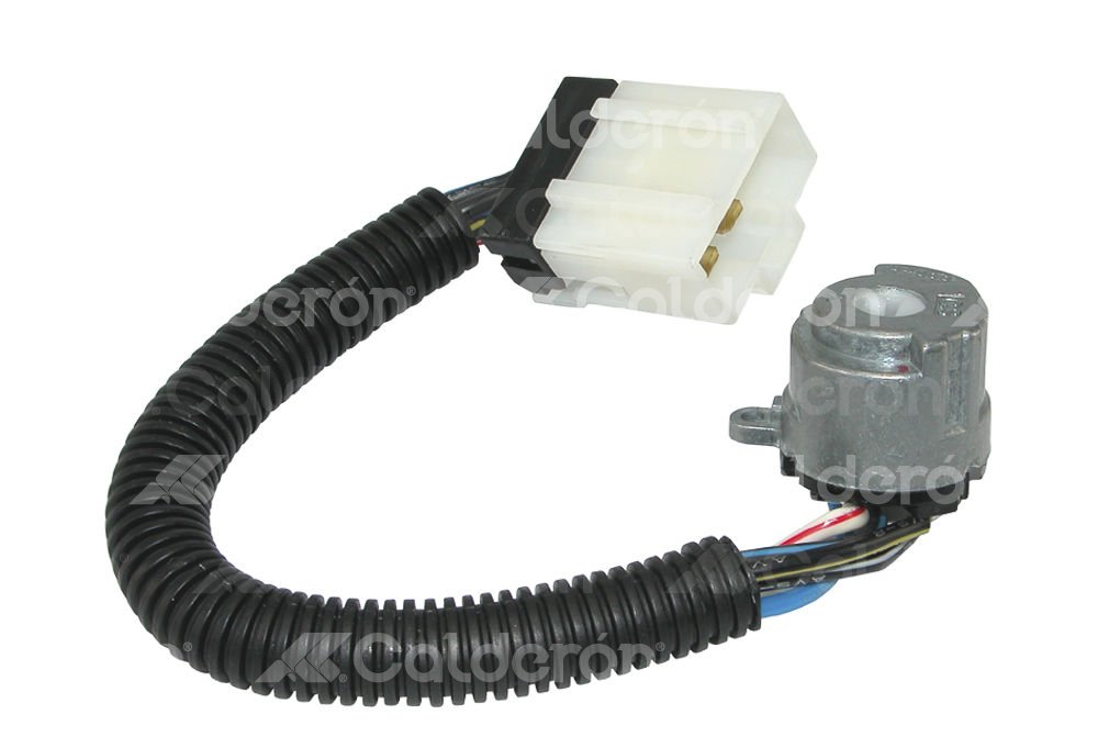 PASTILLA DE IGNICION NISSAN CON ARNES LARGO 48750-T8001 CS3175 IMPORTACION