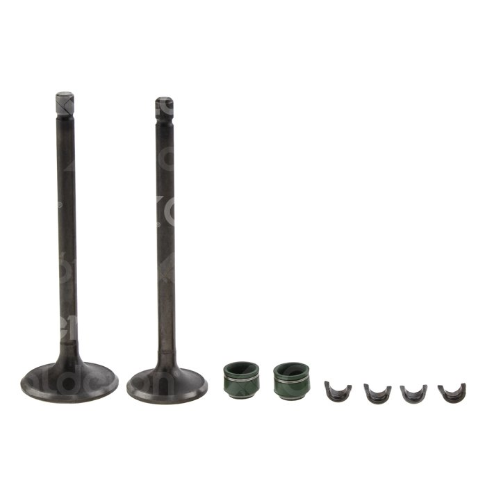 VALVULA ADMISION ESCAPE C/SELLOS Y SEGUROS ITALIKA FT150 CALVAL-2126-0006 QUMO