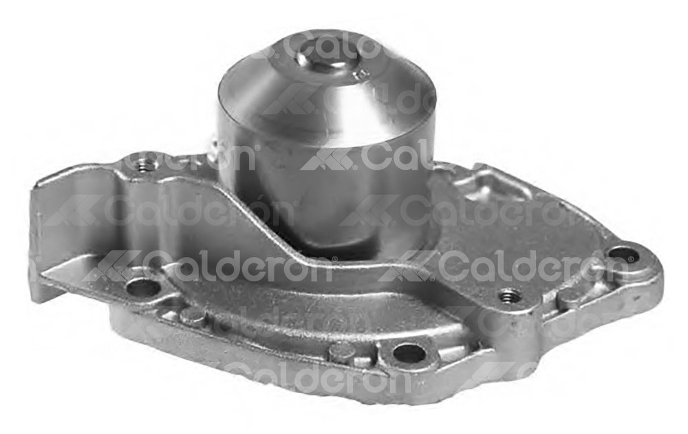 BOMBA AGUA RENAULT MEGANE, SCENIC 2.0L, TRAFIC 1.9L 04-09 P255 BRUMMER