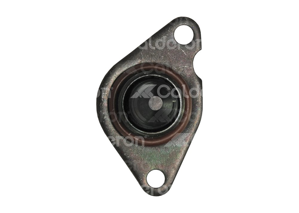 VALVULA IAC (VALVULA DE CONTROL DE AIRE IAC) PEUGEOT 206, 206CC 01-07 4CIL. 84993 IMPORTACION