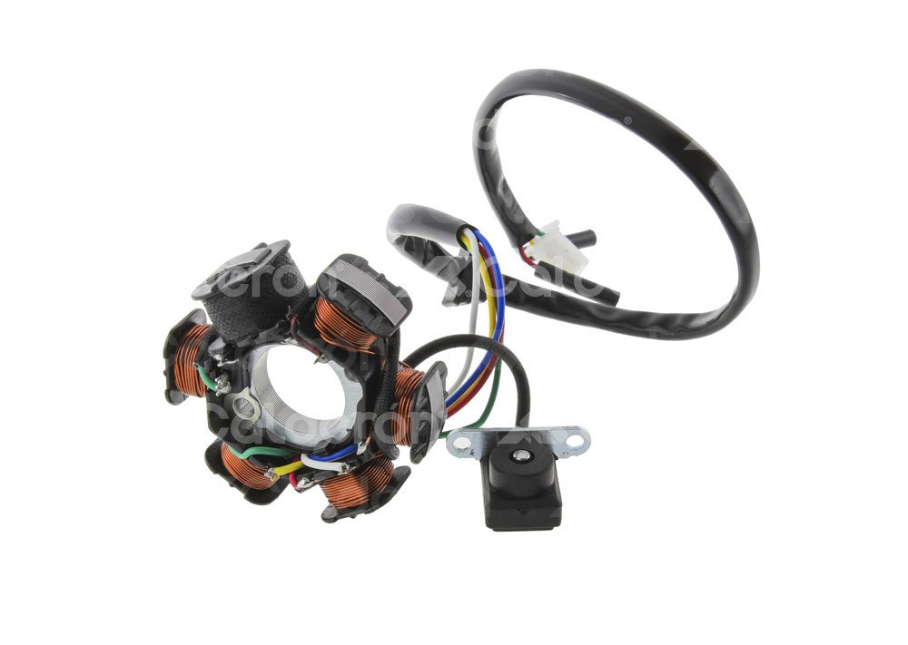 ESTATOR MOTOCICLETA 6 BOBINAS ITALIKA CS125, DS125, DS150, WS150 ENEST-3102-0005 QUMO