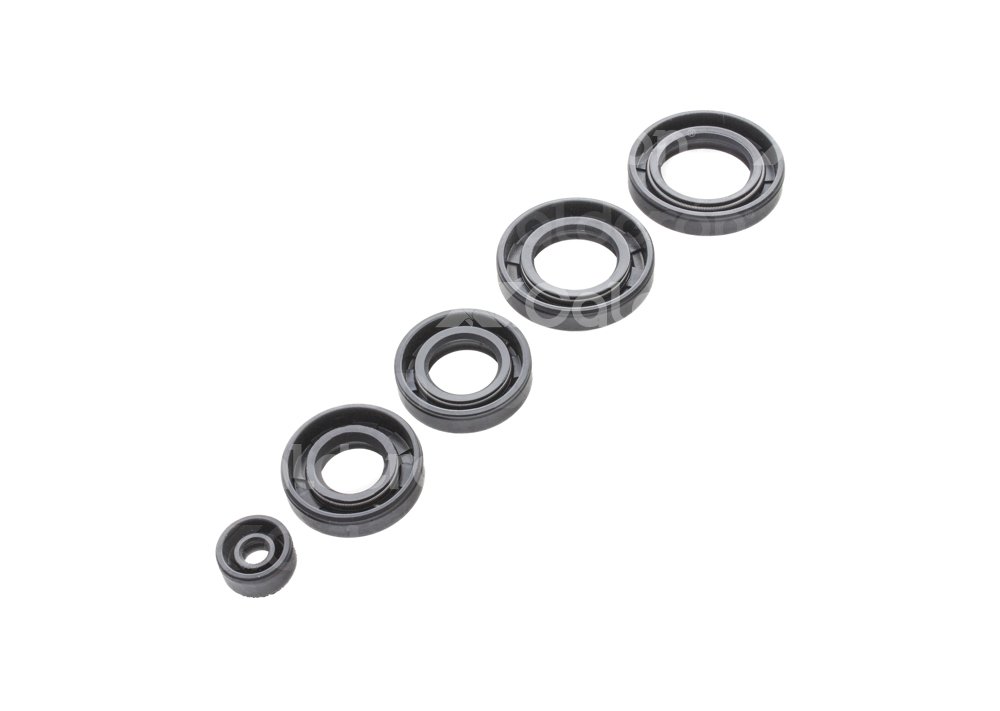 JUEGO RETENES MOTOR ITALIKA FT125/FT150 4969 QUMO