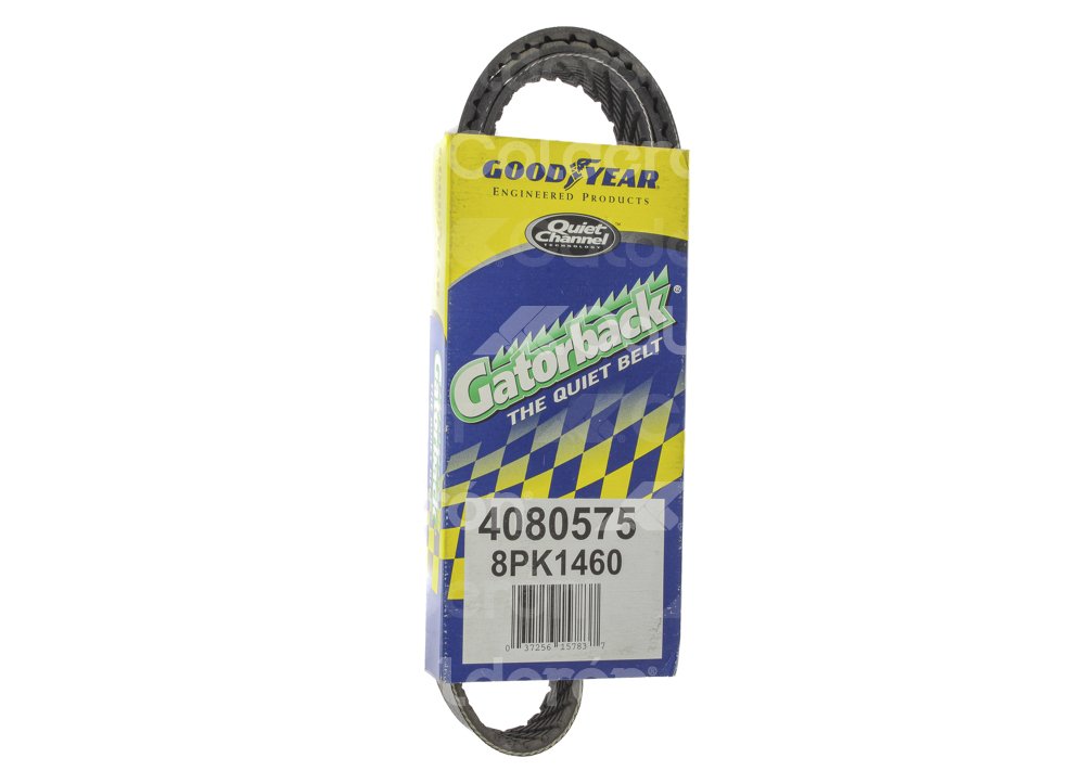 BANDA POLY-V 4080575 GOODYEAR