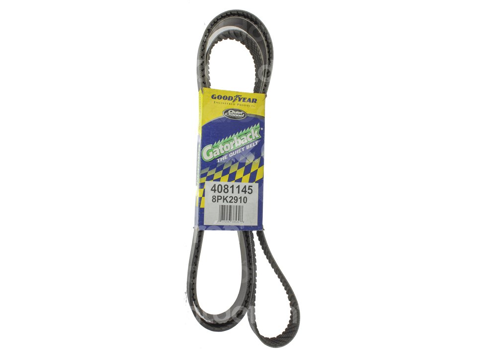 BANDA POLY-V 4081145 No. GATES: K081145 GOODYEAR