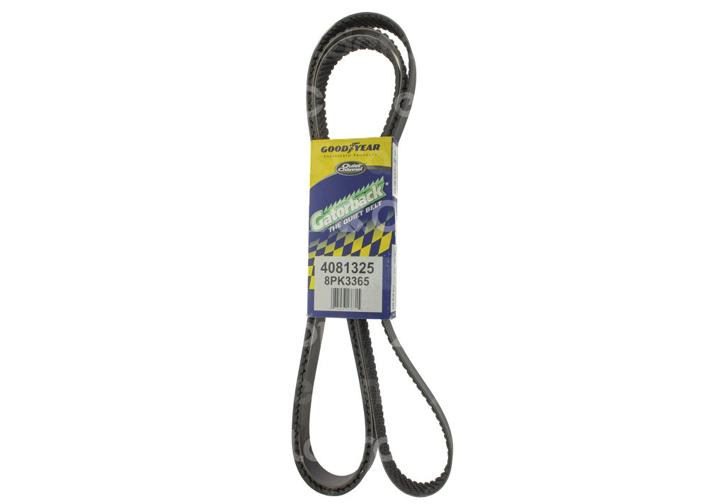 BANDA POLY-V 4081325 No. GATES: K081325 GOODYEAR