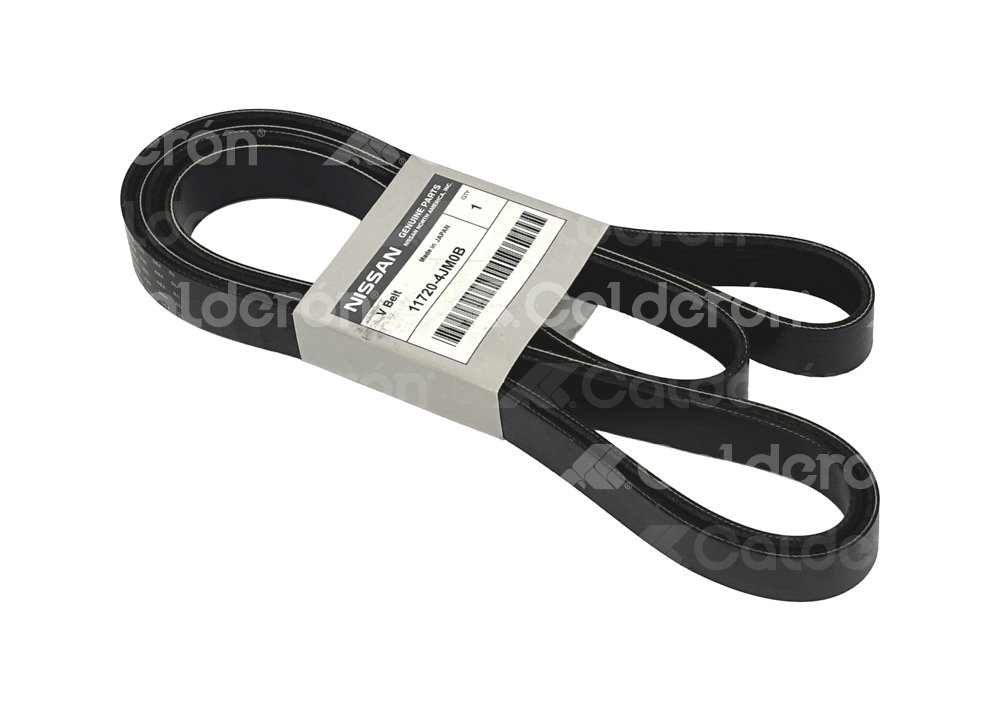 BANDA ALTERNADOR OEM NISSAN NP300 L4 2.5L 2015-2024 NISSAN: 117204JM0B NISSAN